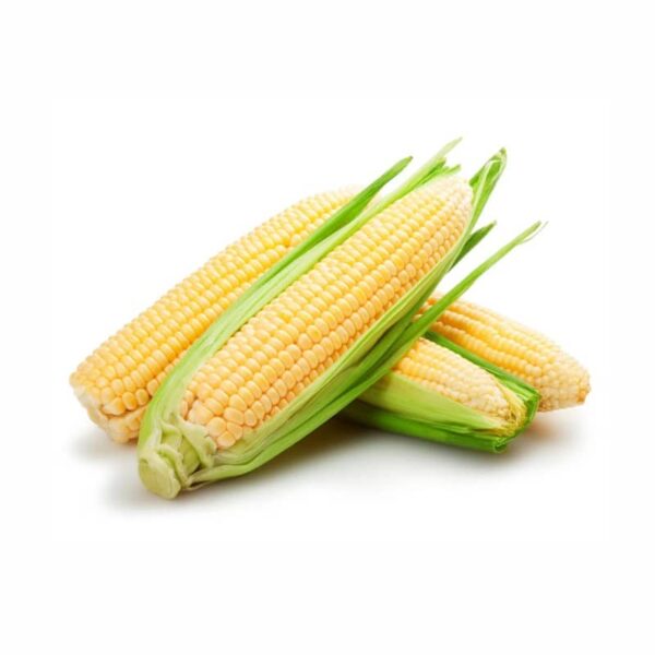 Organic Sweet Corn